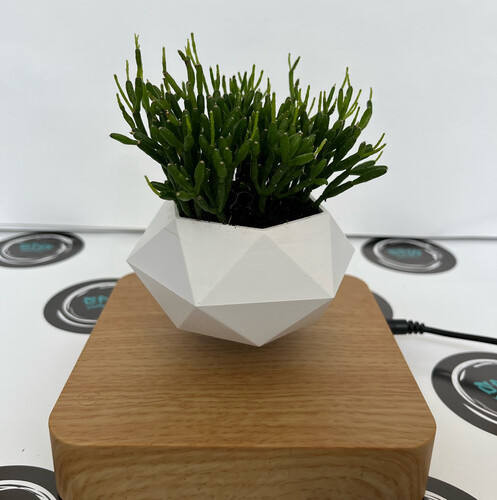 brown square base with white pot - Natural plant in a rotating birdbath with a base of your choice in square or hexagonal black.