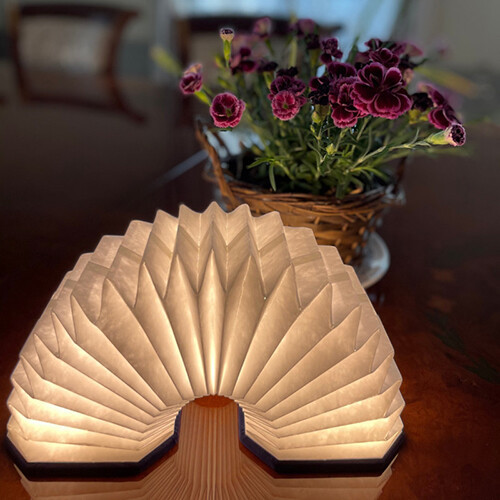 Organ Foldable Light - 4 Velvet cover foldable lights (pink/gray/green/blue) comes with hanging strap. 3 shades of light :white/yellow/orange.changes between shades by folding and unfolding. USB wire included for charging. 10.3 cm*10.3cm*4cm