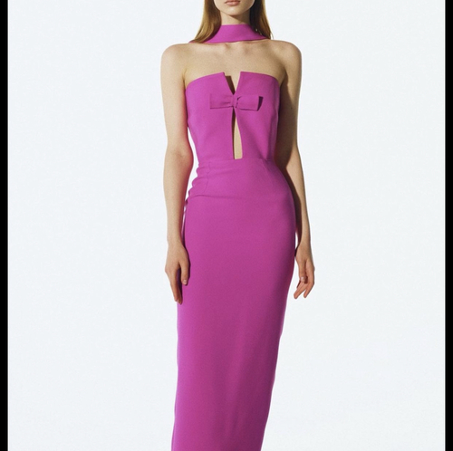 Stylish stretchy pink foshia dress