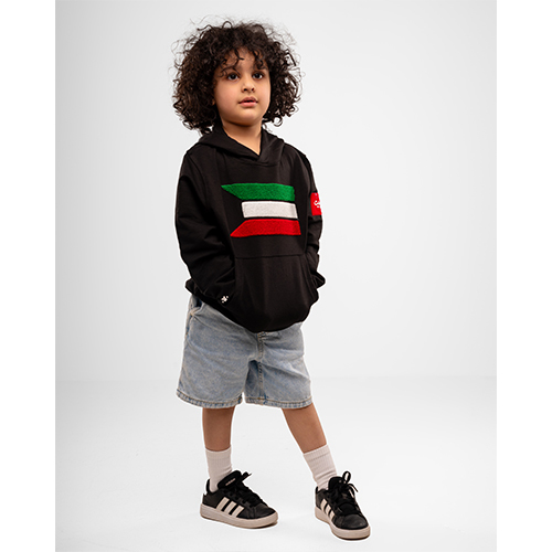 Flag embroidery Hoodie