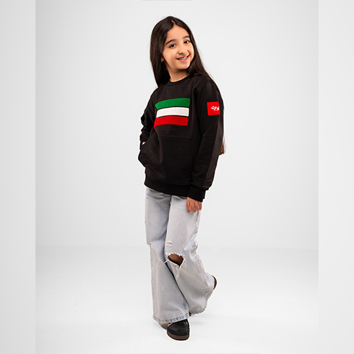 سويت شيرت العلم تطريز