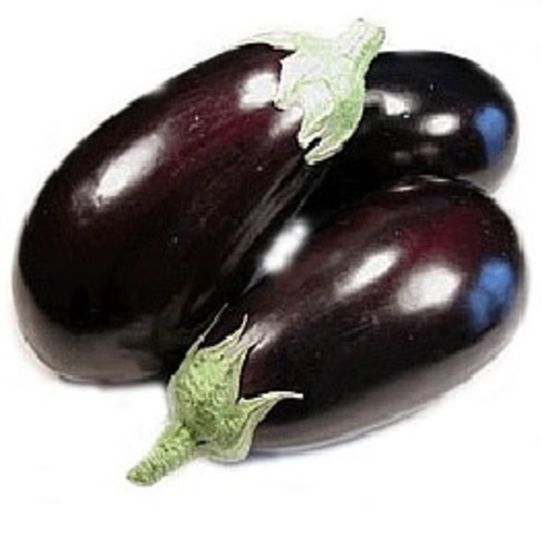 Fresh Jordanian Eggplant, Approximately 1kg