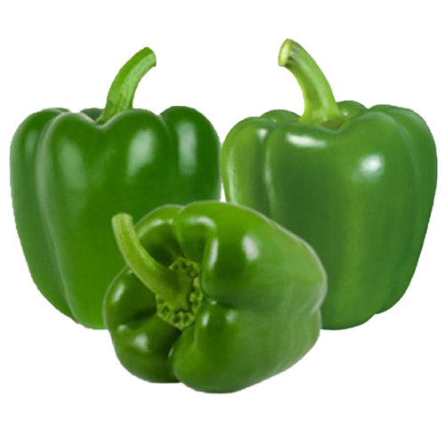 Green Sweet Pepper /Bell Pepper Cork Medium