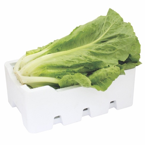 Fresh Lettuce Cork Box