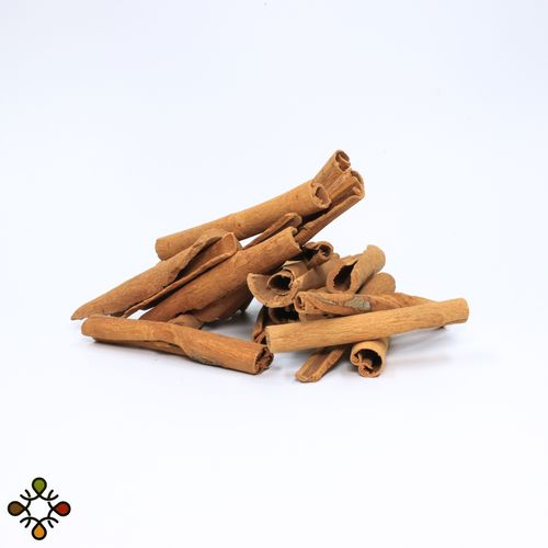 Rounded dracaine ceylon