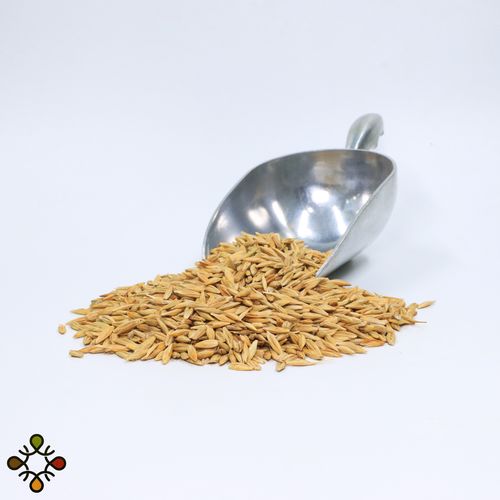 roasted barley