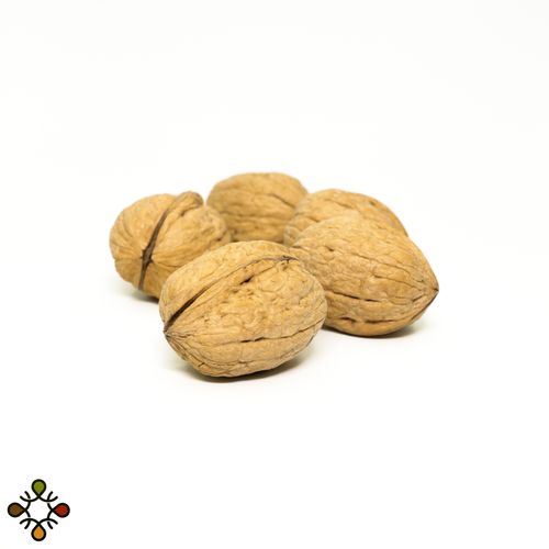 Chilean walnuts