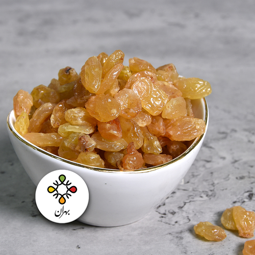 Golden Chill Jumbo Currant