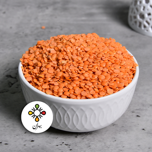 Red lentil