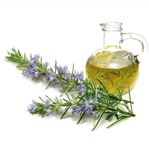 Salt Salon - rosemary oil 250 ml - اثبت علميا فعاليه الروز ماري في تنبيت الشعر وملىء الفراغات بصوره ملحوظه .. يرجى تسخين كميه قليله من الزيت ووضعه على فروه الراس مع مساج لدقائق وغسله بعد ساعتين ، مرتين او مره اسبوعيا .