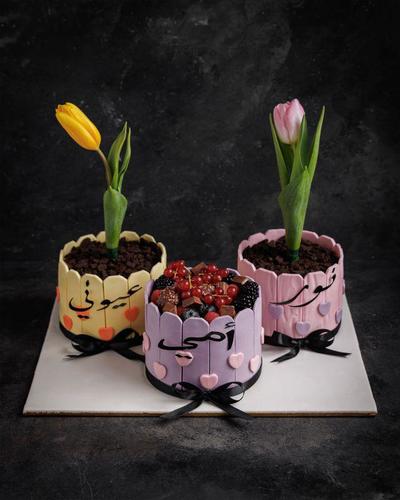 كيكة عيد الام 5