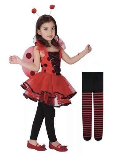 دعسوقة 🐞