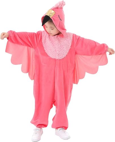 تنكري فلامنجو 🦩
