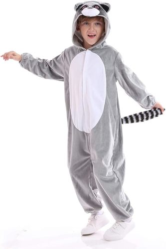 تنكري الراكون 🦝
