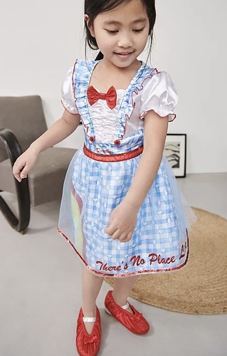 Costume wizard oz dorothy