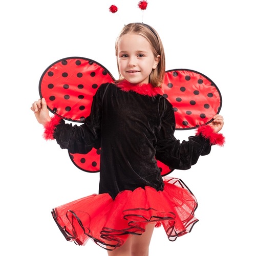 Lady bug 🐞