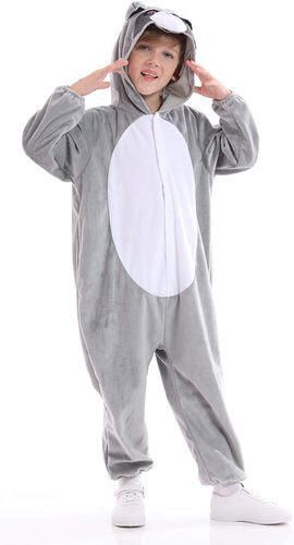تنكري الراكون 🦝