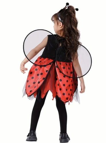 Ladybug 🐞 dress set