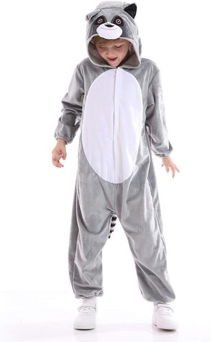تنكري الراكون 🦝