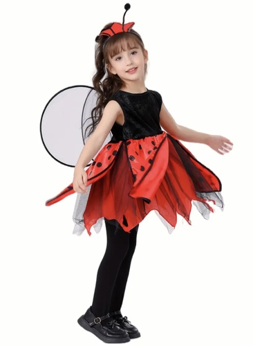 Ladybug 🐞 dress set