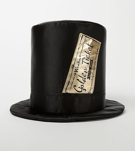 Roald Dahl Willy Wonka Costume