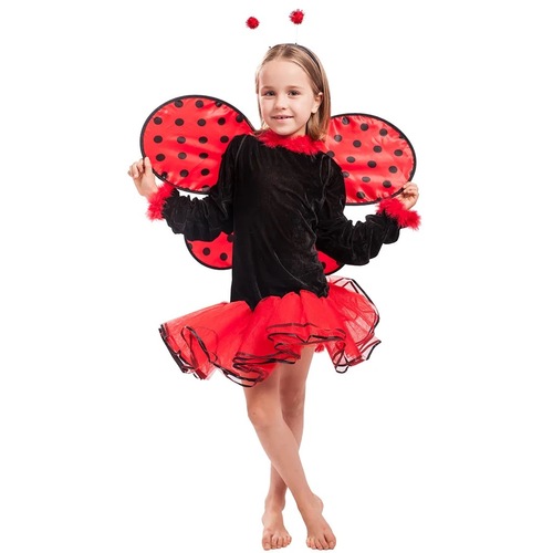 Lady bug 🐞