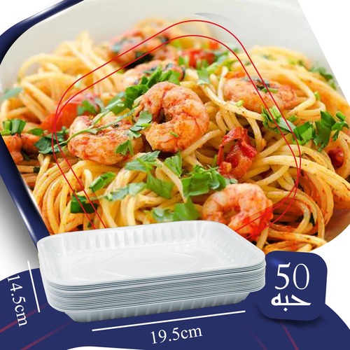 OFFER PLASTIC RECTAGULAR PLATE N0. 2 - 50 PCS