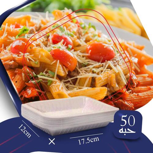 OFFER PLASTIC RECTAGULAR PLATE N0. 1 - 50 PCS