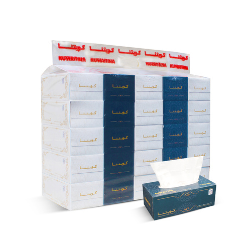 CARTON 25 PCS KUWAITINA TOWEL BOX 200 SHEETS