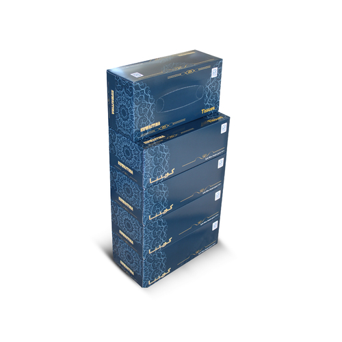 OFFER 5PCS KUWAITINA TOWEL BOX 200 SHEETS
