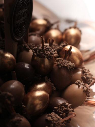 Hazelnut Select Tray