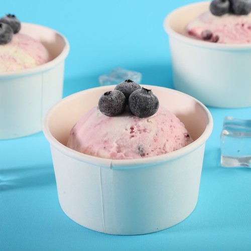 Scoop BlueberryYogurt