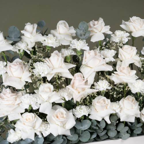 Pastel Rose