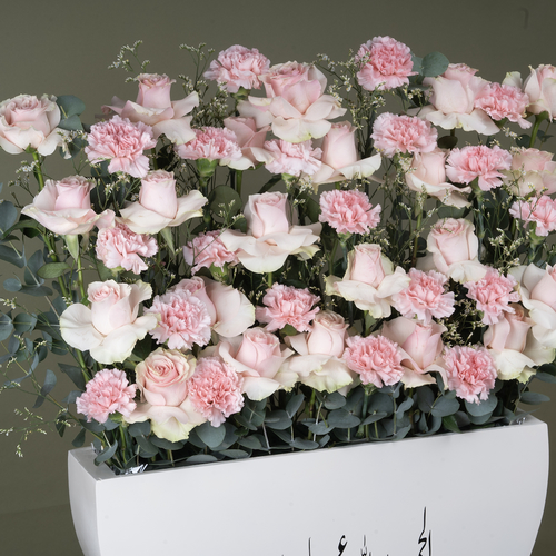 Pastel Pink