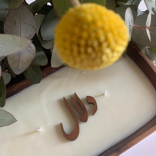 شمعه دلال(ورد طبيعي)