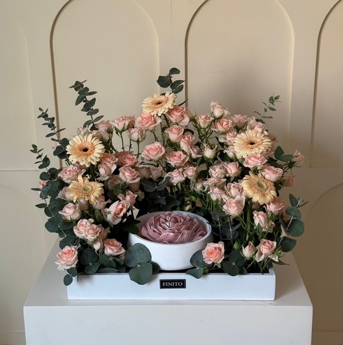 شمعتنا الجديده - السعر ٣٢ دك  العرض ٥٥ سم  الارتفاع ٥٠ سم