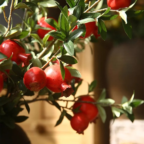 Pomegranate twigs