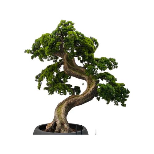 The Table Outfits - Artificial bonsai tree - Hight 170  width (crown) 120 -50 cm 
 
 
Without pot