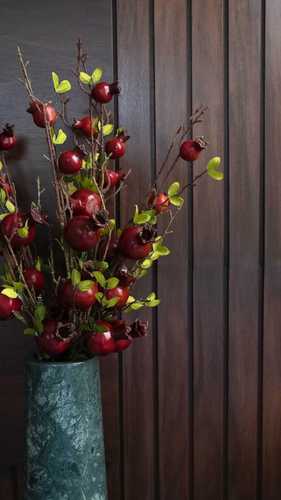 Pomegranate twigs
