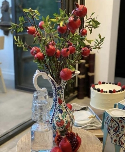 Pomegranate twigs