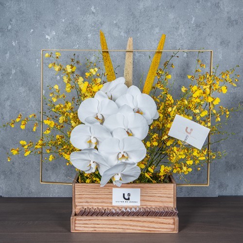 Soleil - A wooden basket with golden metal handle contains orchid petals, typha and dancing orchids with Belgian chocolates.  Height: 55cm – Width: 60cm