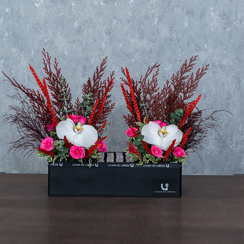 سويف - يحتوي المستطيل الخشبي الأسود على البيبي جوري والتريتيكوم الأحمر وبتلات الأوركيد والاوكاليبتوس مع الشوكولاتة البلجيكية.  الطول: 38 سم العرض: 57 سم