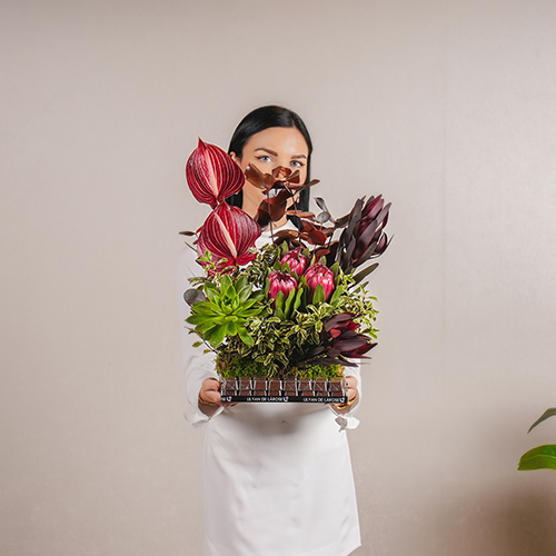 Savanna - An acrylic tray that contains anthuriums, queen protea, pittosporum, echeveria and sunset safari with Belgian chocolates.Height: 40 cm - Width: 30 cm