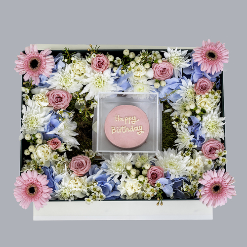 Cannes IV - Cannes IV contains gerbera flower and white, blue and pink roses and mini Congrats cake Width: 40 cm x 30 cm    Height: 13 cm