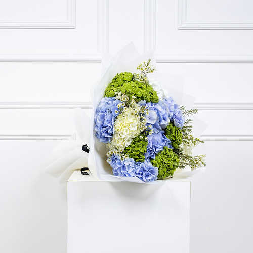 Hydrangea Bouquet I - This bouquet contains fresh white, green, blue hydrangeas in a white wrapping.  Height: 45 cm  -  Width: 20 cm