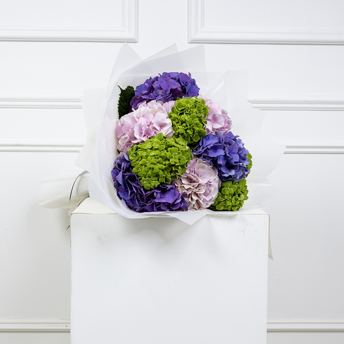 Hydrangea bouquet II - This bouquet contains fresh Pink, green and purple hydrangeas in a white wrapping.  Height: 45 cm  -  Width: 20 cm