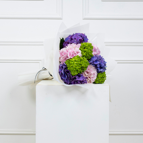 Hydrangea bouquet II - This bouquet contains fresh Pink, green and purple hydrangeas in a white wrapping.  Height: 45 cm  -  Width: 20 cm