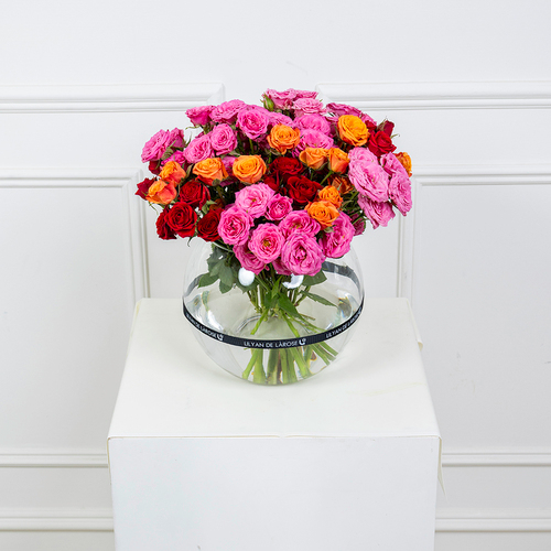 Dinos - A glass vase that contains pink, red and orange roses.