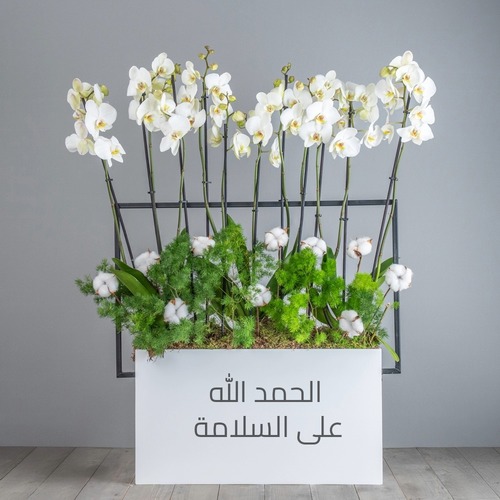 ora - يحتوى البوكية على زهور الاوركيد الطبيعية مع زهور القطن المجفف. عرض 80سم ارتفاع 100 سم متاح تغير العبارة على حسب الرغبة.