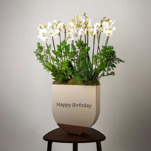 orchid - تحتوى الباقة على زهور الاوركيد الطبيعية.